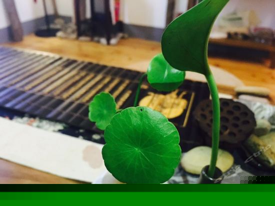 水墨禅心双人房