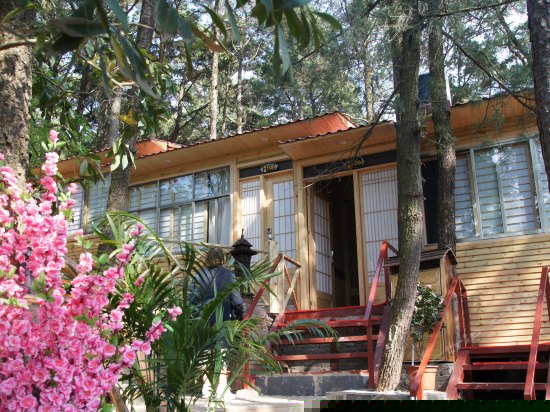 日式主题标准间