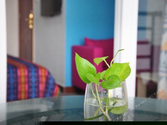 你好色彩阳台海景大床房