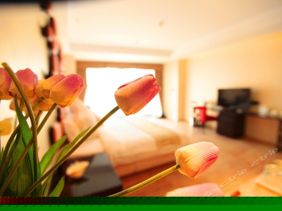 皇家高层海景蜜月房