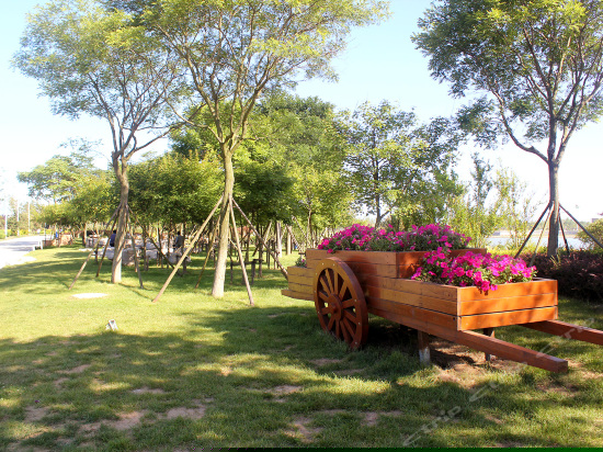 精品市景大床房