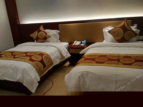 标准双床房（无窗）