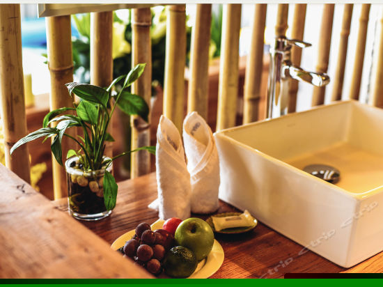 S208-270度私属海景露台套房