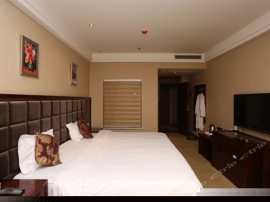 商务电脑单人间