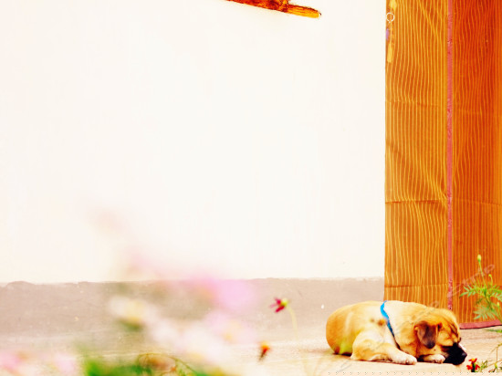 未央（雅致双人间）