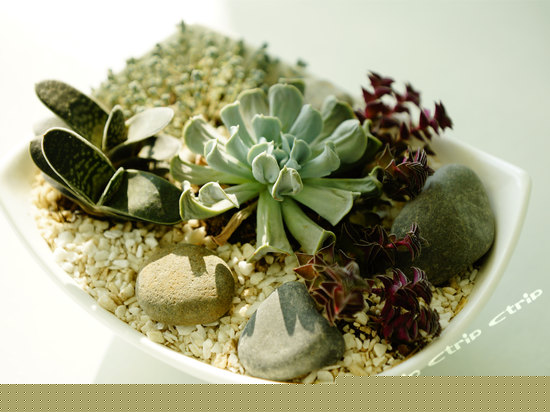 云尚-地中海风情大床房