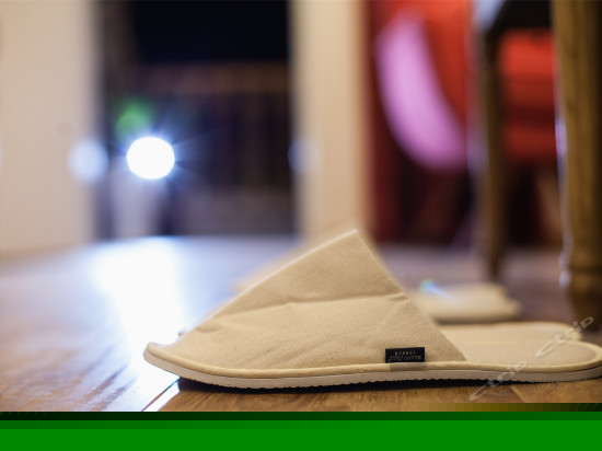 闲情逸致家庭房