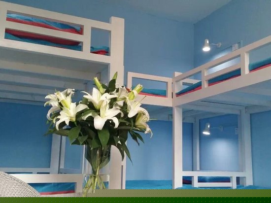 彩色4人间（床位房）