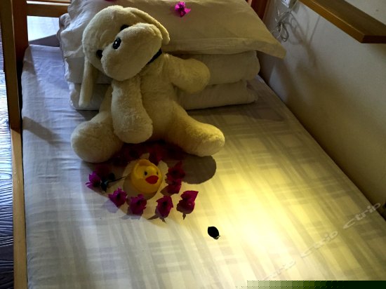 豪华混住14人间（按床位）