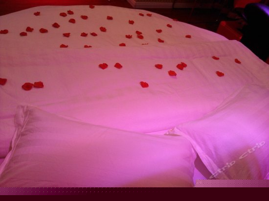 豪华海景水床房