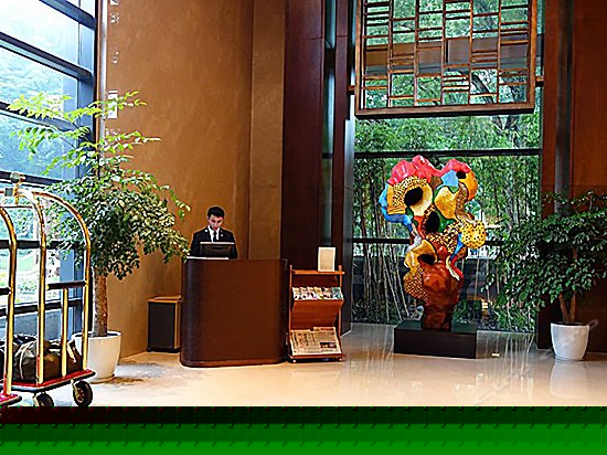 公共区域
