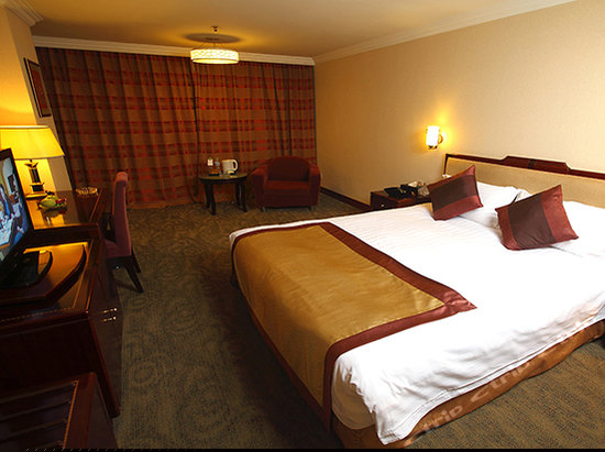 高级商务单人间A