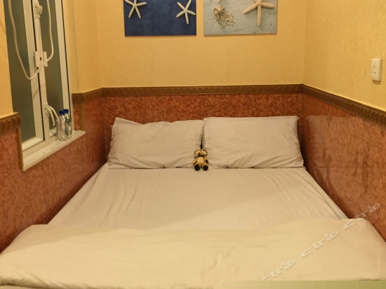 标准双床间（无窗）