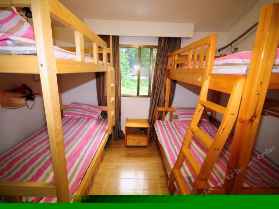 女生四人间(床位)(公卫)