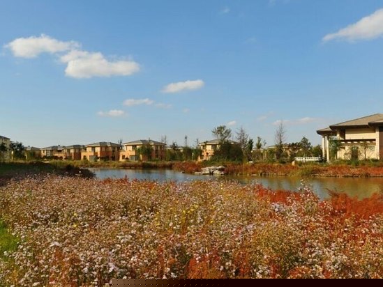 三居别墅（双拼别墅）