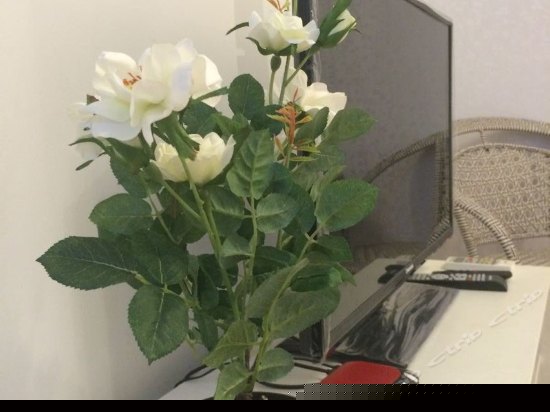 银白简约青春(特价大床)