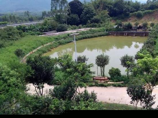 广州南朝围合作社农家乐