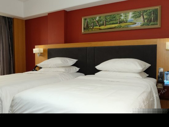 商务标准双床房