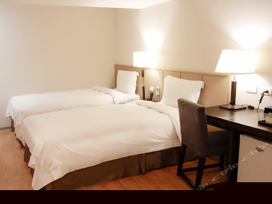 标准客房 (无窗)