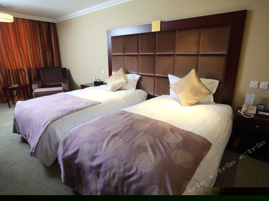 高级商务标准间B