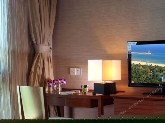 长天轩海景套房一室一厅