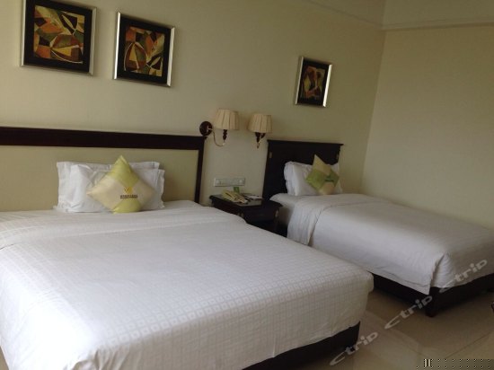 行政园景/池景双人房