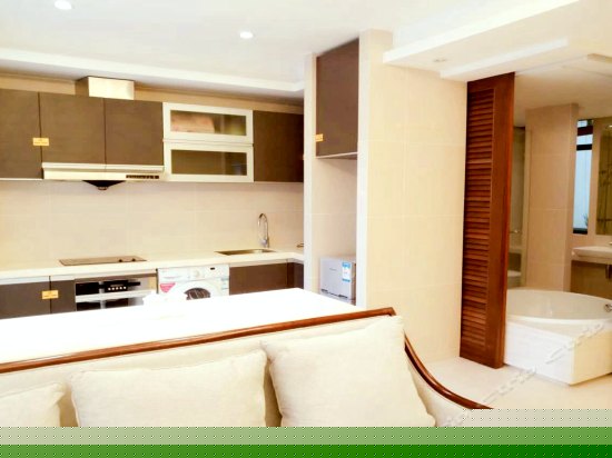 精致豪华一室一厅公寓