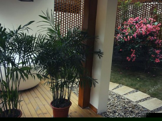 阳光庭院大床房