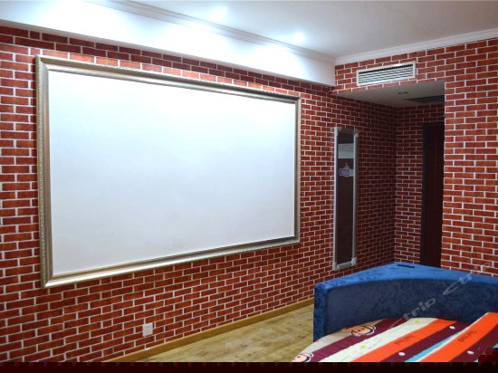 豪华电影主题房