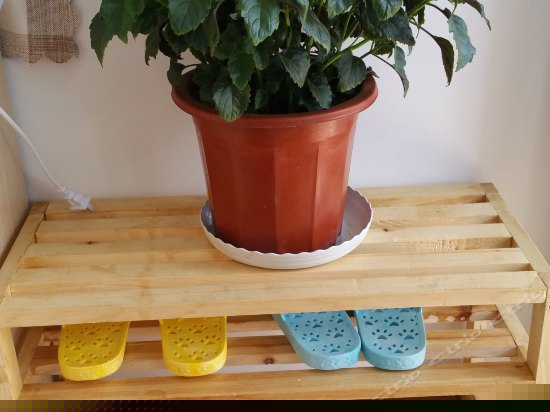 星空浪漫大床房