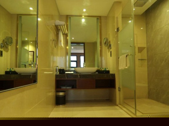 纽伦堡行政大床房