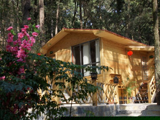 鸟巢主题大床房