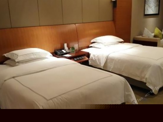 商务园景双床房