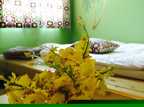 家庭榻榻米套房