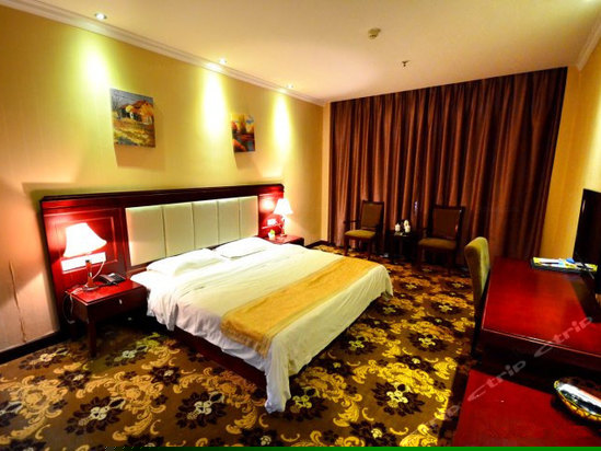 豪华单人房