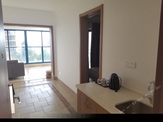 两房一厅园景房