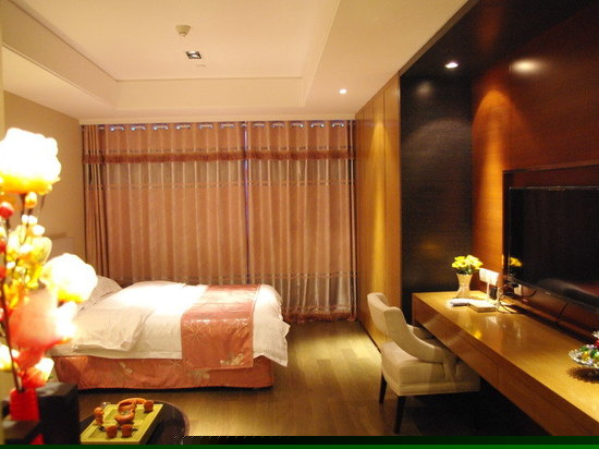 豪华城市景观房