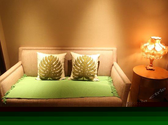 豪华城市景观房