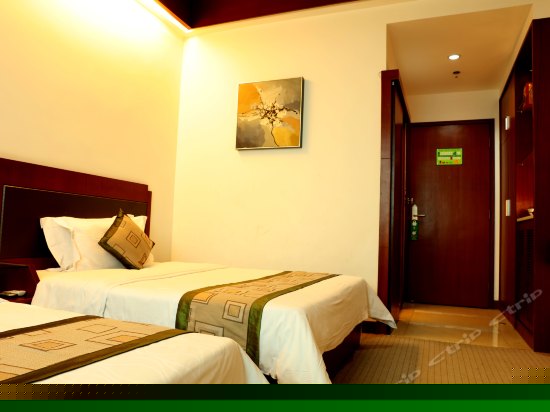 高级双床房