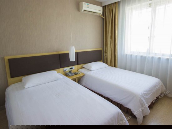 标准双床房