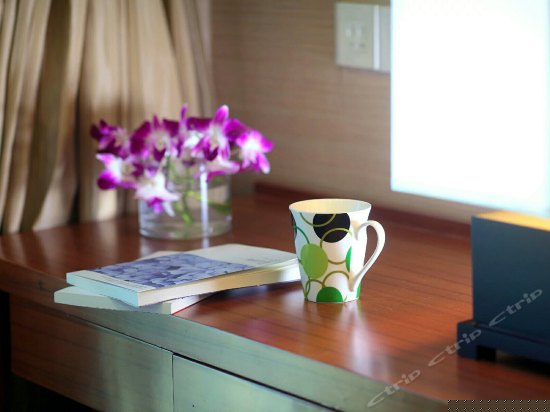 长天轩海景套房两室一厅