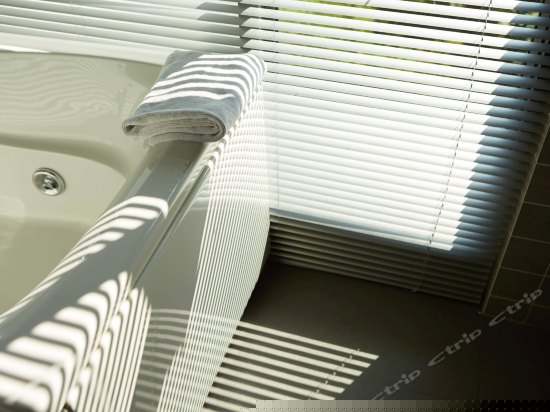 览秀居高级套房