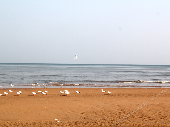 无敌海景大床房