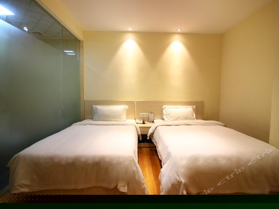 标准双床房
