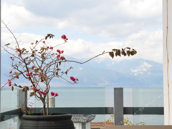 逸海-海景大床房