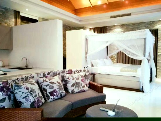 精致豪华一居别墅