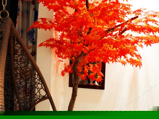 梦幻枫林主题房