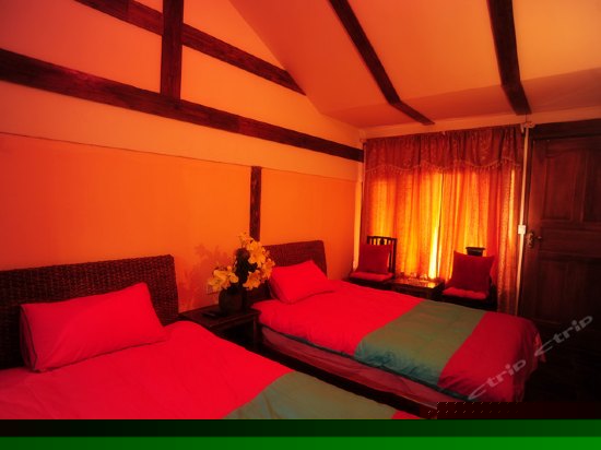 舒适双床房（陆月）