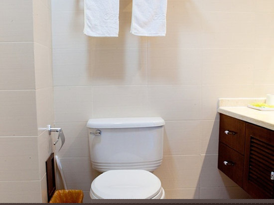 奢华海景蜜月套一房一厅