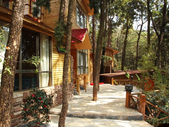 鸟巢主题大床房